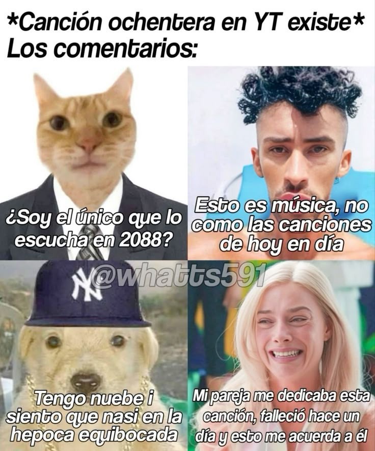 Borren discord - meme
