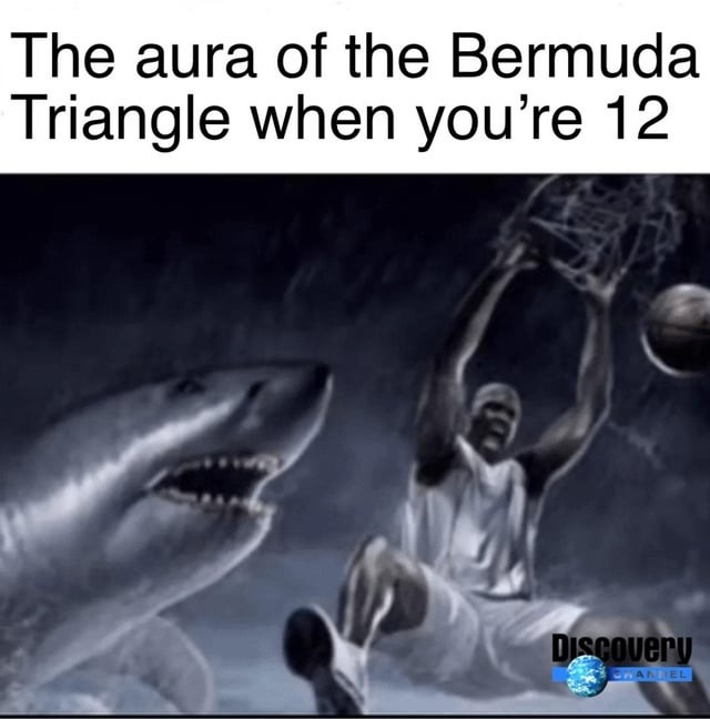The Bermuda Triangle at age 12 was a horror movie - meme