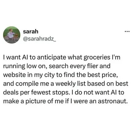 I want AI to find grocery deals, not draw me in space - meme
