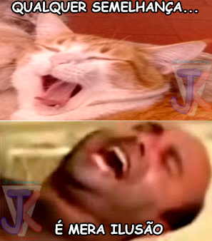 Jailson + sua versão felina - meme
