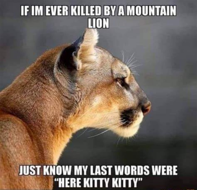 Image supplied by a user.