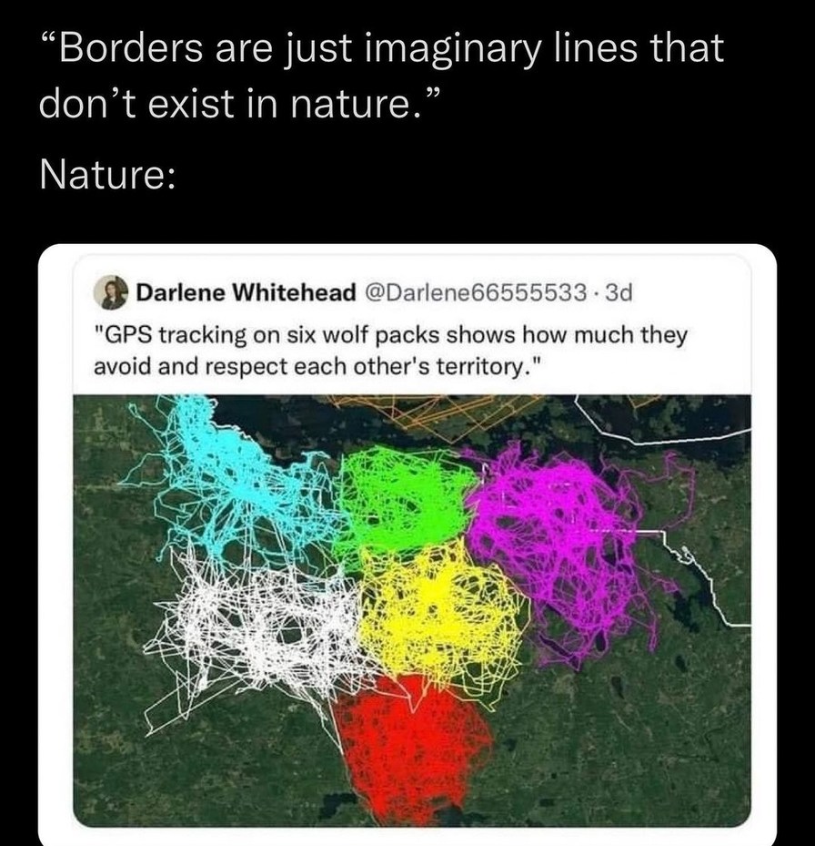 Borders - meme