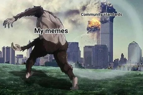 Community standards - meme