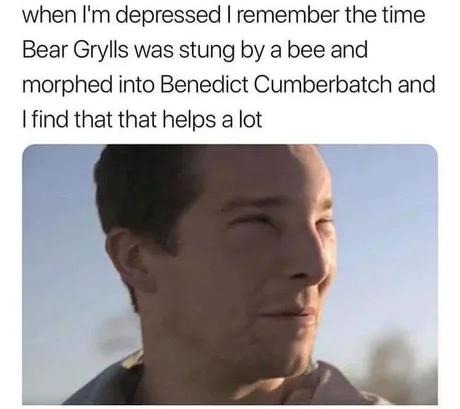 Bear Grylls got stung by a bee and turned into Benedict Cumberbatch and I live by that - meme