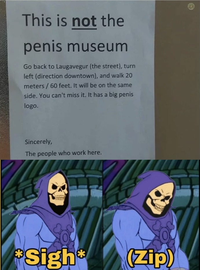 Skeletor 2 - meme