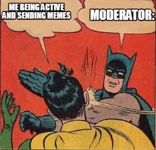 moderation took a entire day to get my meme through