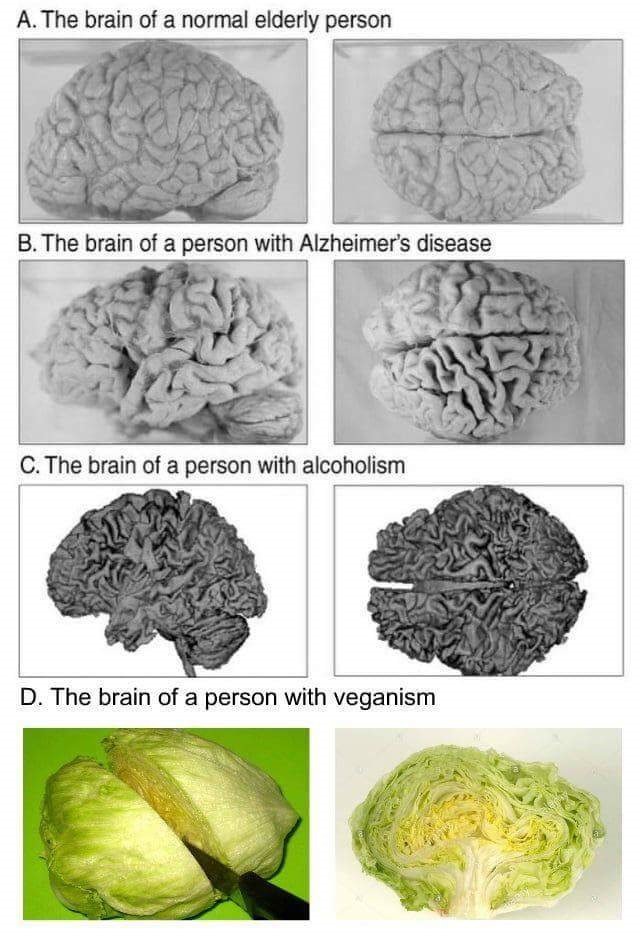 It doesn't just rot your brain, it turns your brain to cabbage - meme