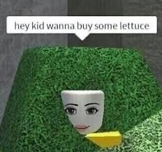 Low-Quality Roblox Memes