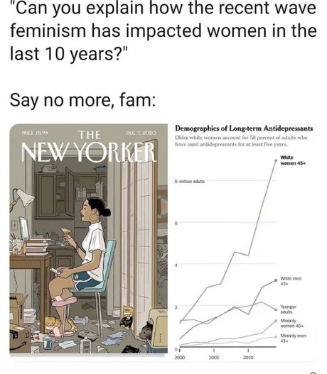 Last 10 years of feminism - meme