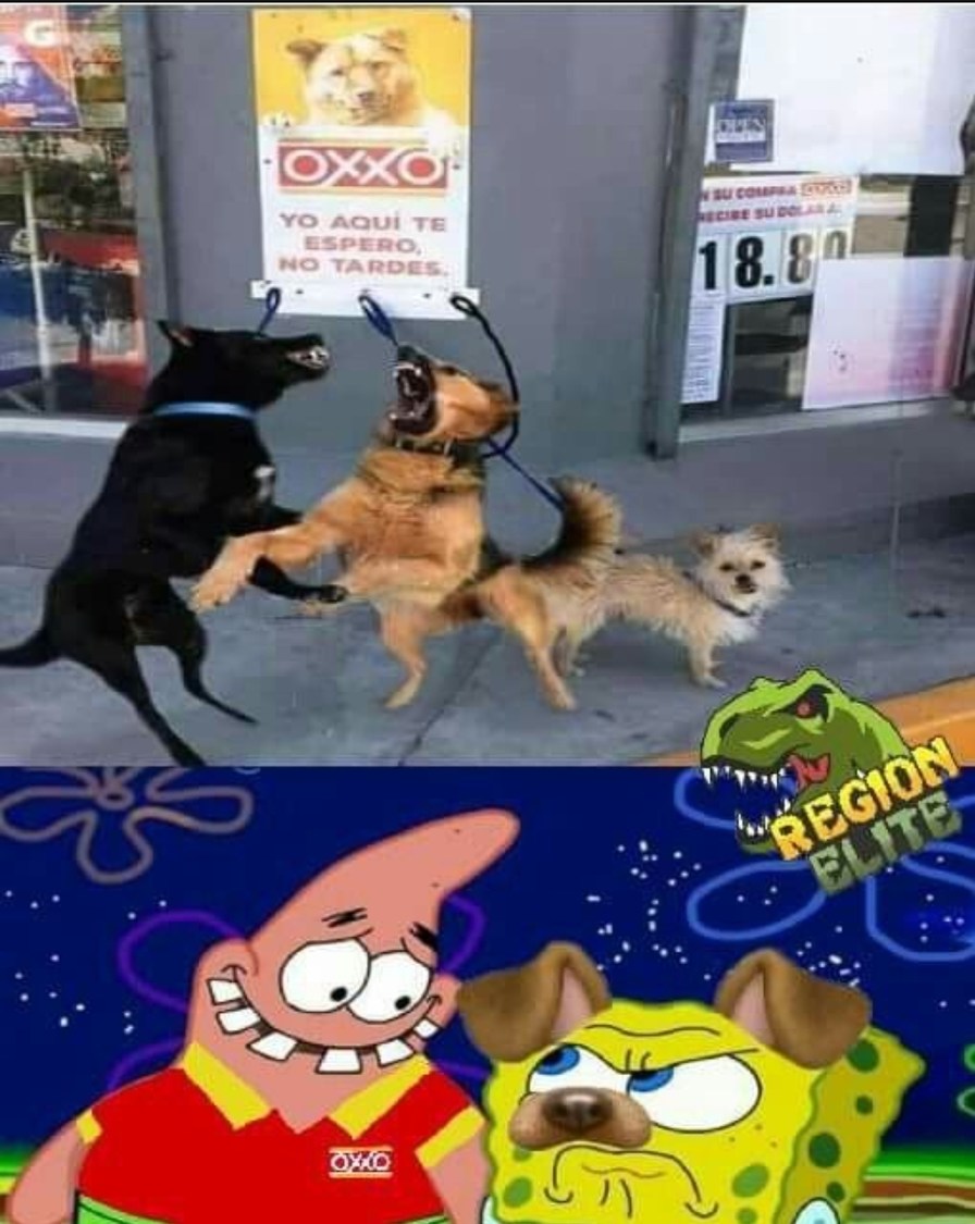 Estoy haciendo momos estilo grasa - meme