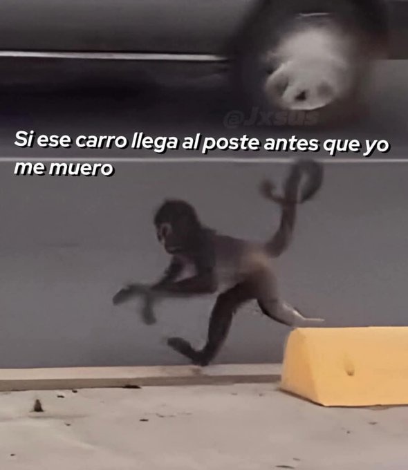 awebo toca correr - meme