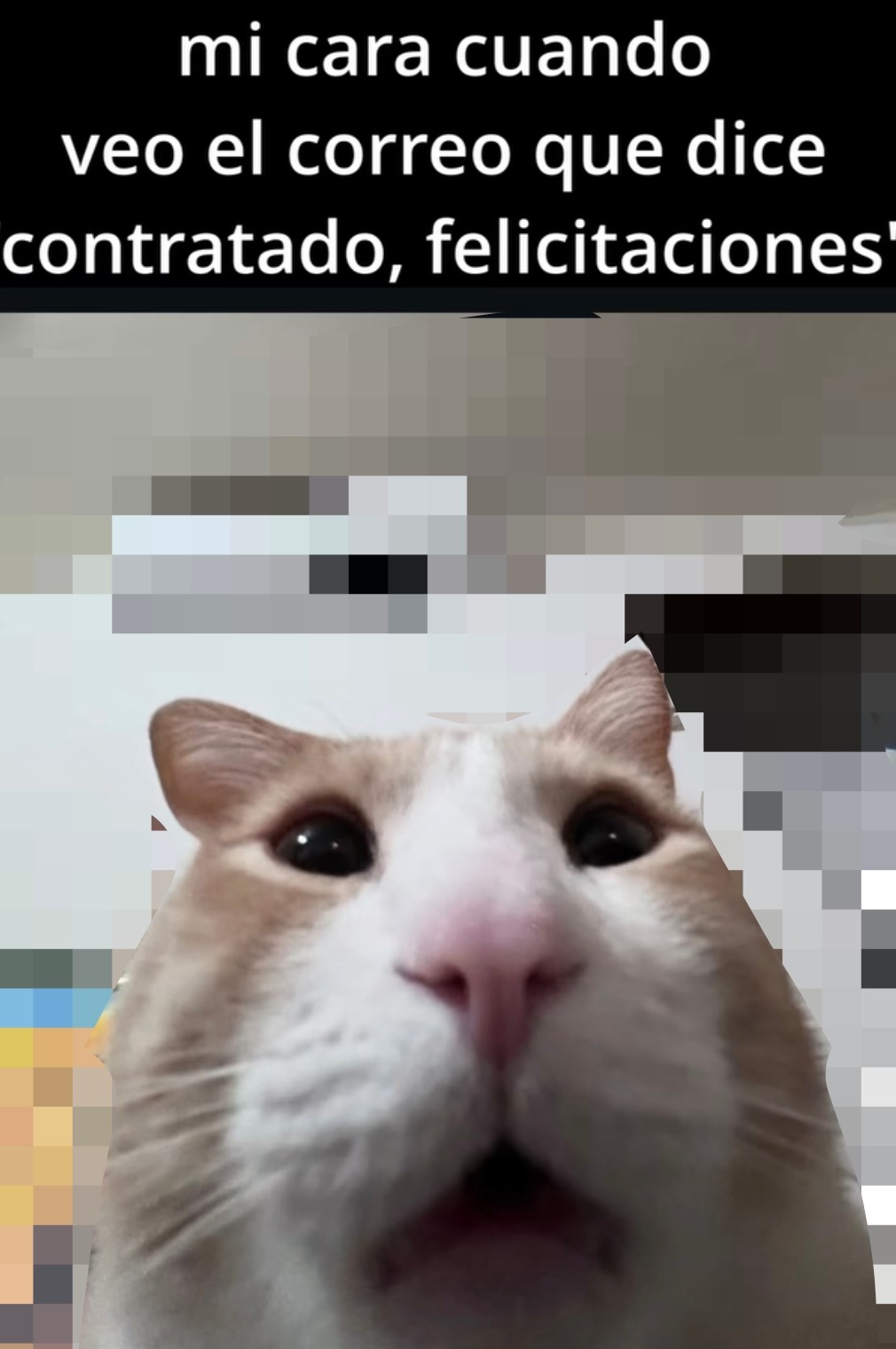 Mi cara cuando veo el correo que dice: contratado. Se viene el arco laboral - meme