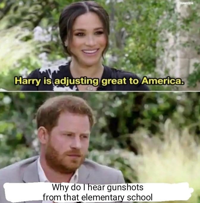 Harry in USA - meme