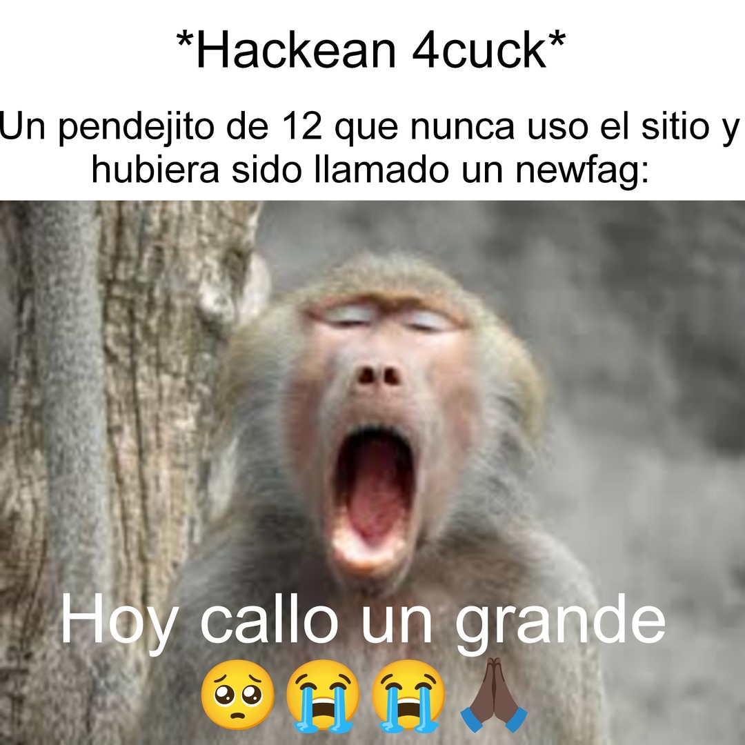 Introduce el titulo aqui - meme