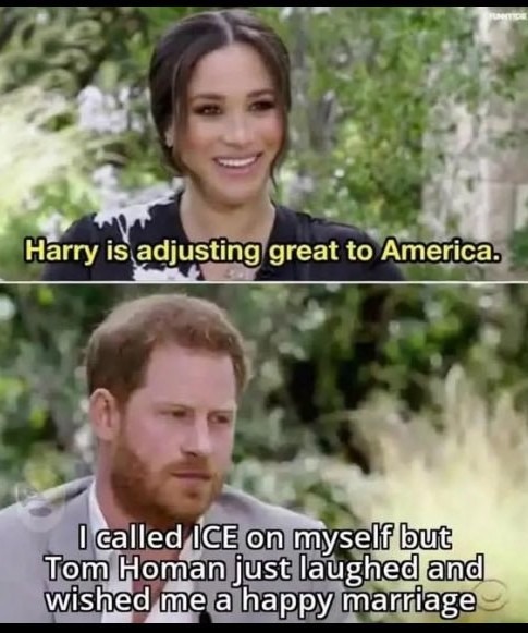 Harry - meme