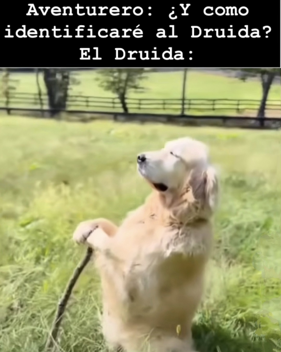 Aventurero: cómo sabré quién es el druida? El druida: yo soy caos puro hermano - meme