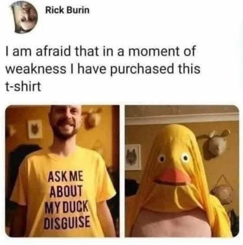 Duck - meme
