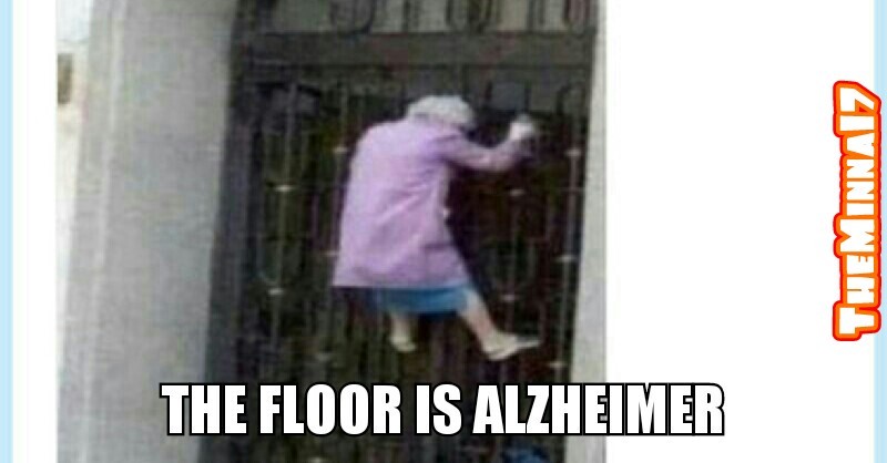 The Floor is Laminna - meme