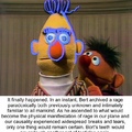 Bert’s rage