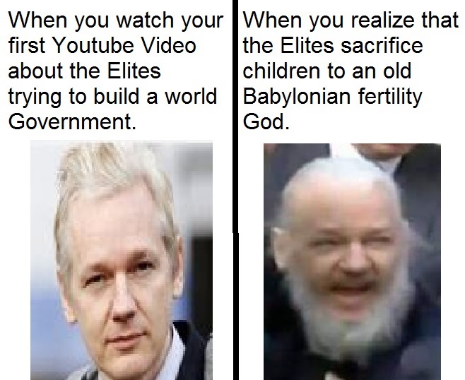 dongs in an assange - meme