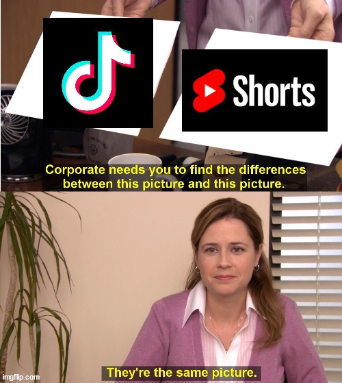youtube created the shorts to get the views from tic tok - meme