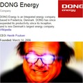 Magnum DONG Energy