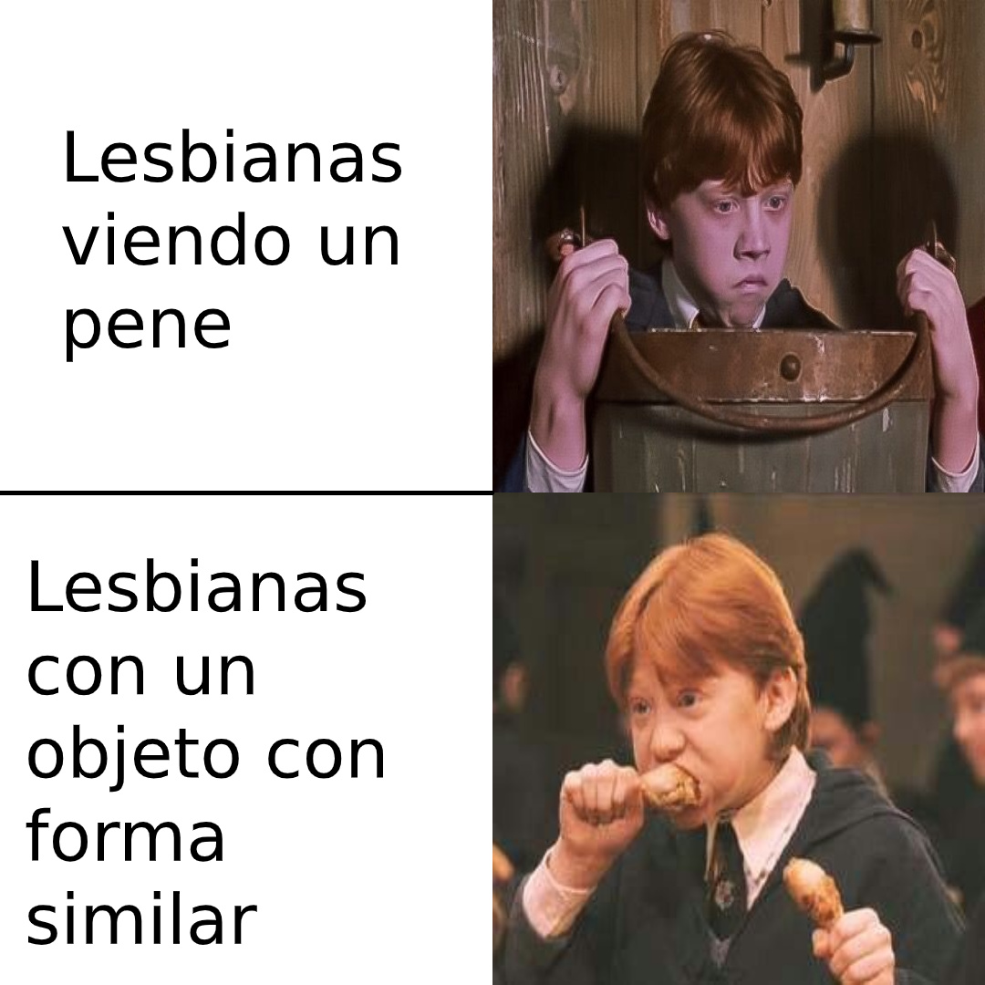 Logica Lesbica - meme