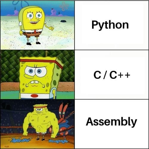 Viva assembly - meme