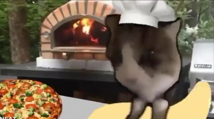 Kitty pizza - meme