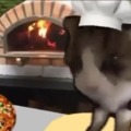 Kitty pizza