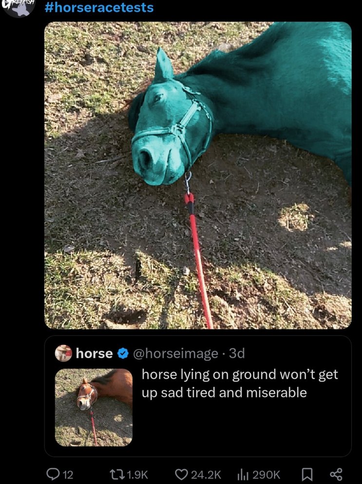 Horse gave up on life and honestly same - meme