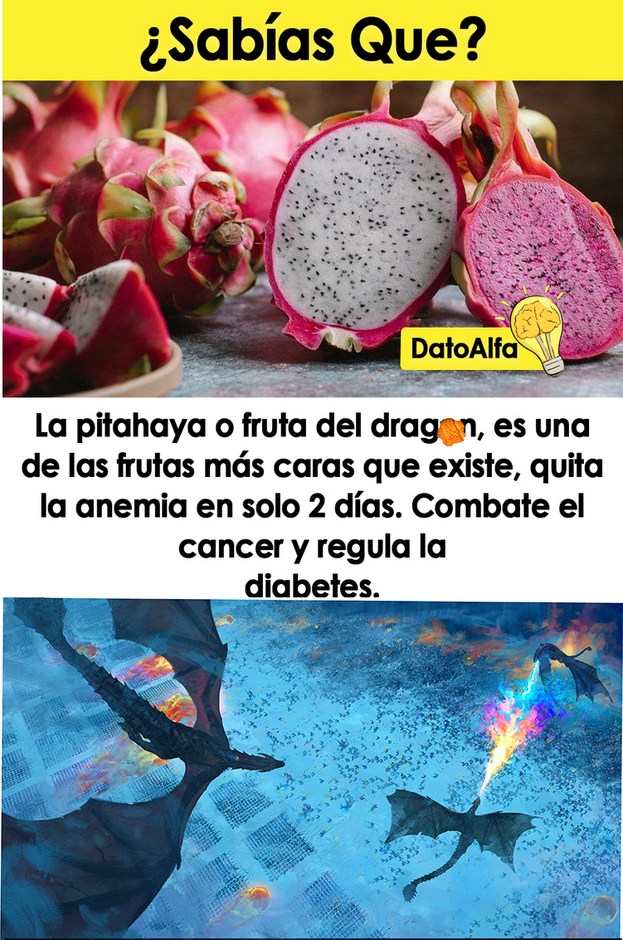 dragones de colores rosass - meme