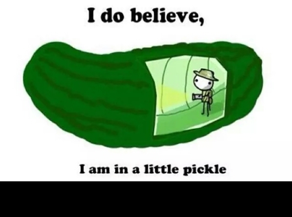 bit of a pickle - Meme by jamiespence1990 :) Memedroid