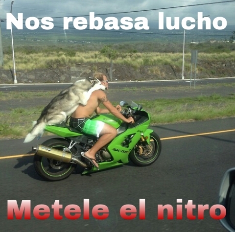 pongale mijo - meme