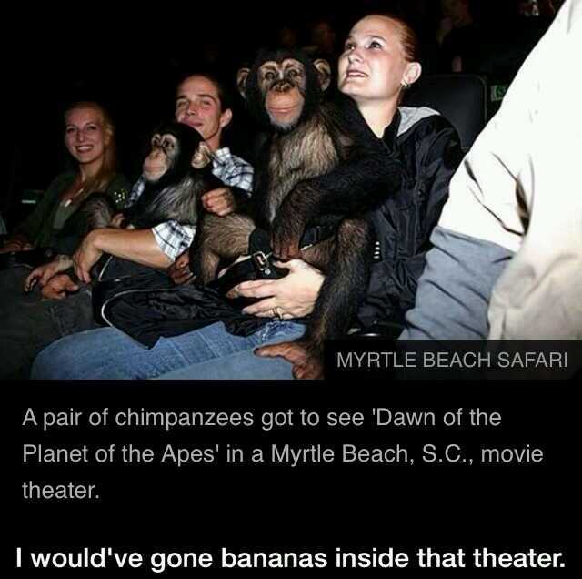 Dawn of the planet apes - meme