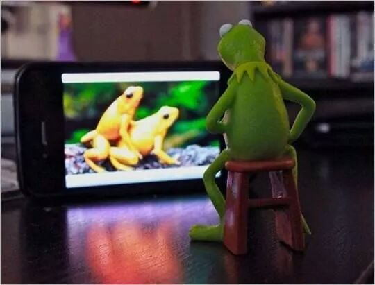 kermit tu fait quoi??????? - meme