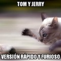 Tom y jerry  fast furious