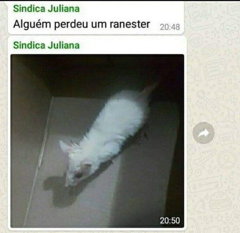 Ranester - meme