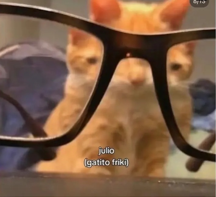 Gato friki XD - meme