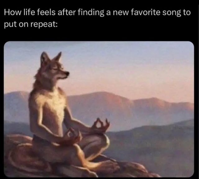 New song on repeat = main character mode unlocked - meme