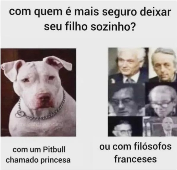Com o Pitbull obviamente - meme