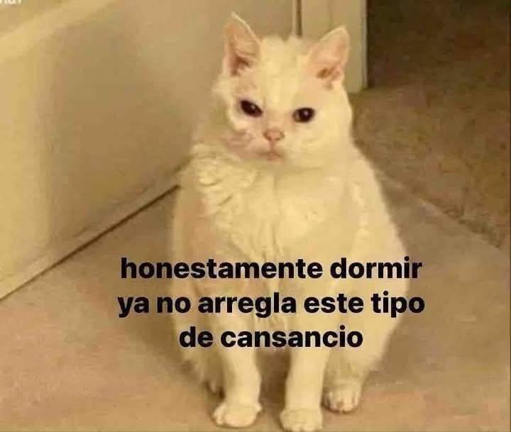 dormir ya no arregla este nivel de cansancio - meme