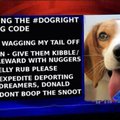 #dogright