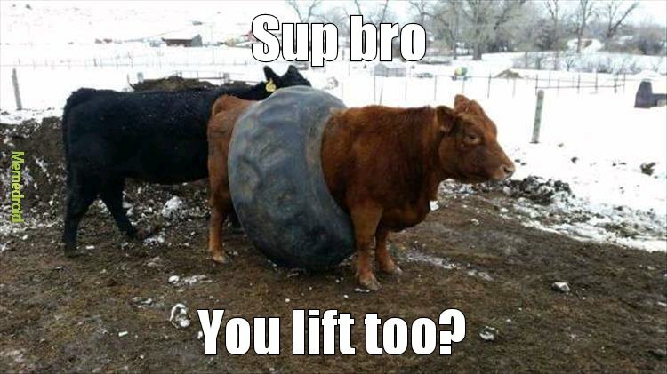 You lift too? - meme