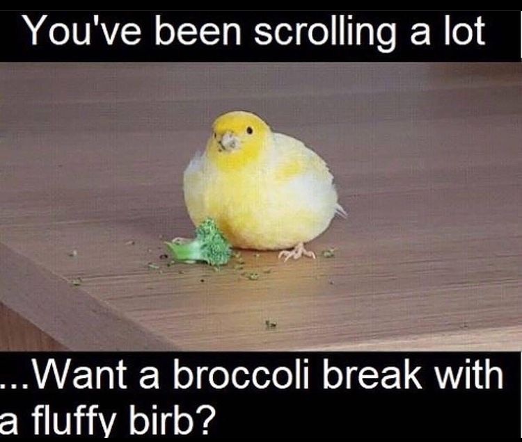 he will share his broccoli - meme