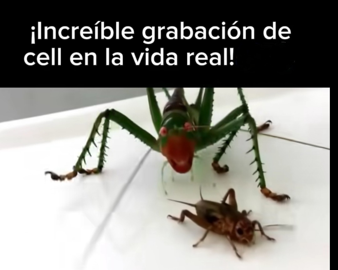 A - meme