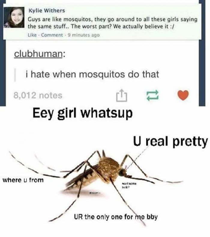 Damn Mosquitos, Stealin' our jobs - meme