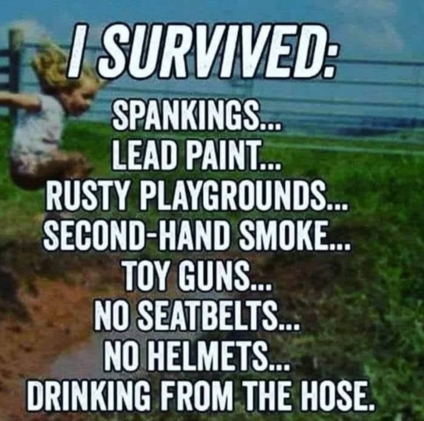 Survived - Meme by CWP1985 :) Memedroid