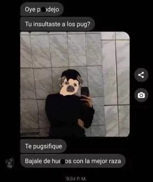 Yo tengo un pug de mascota XD - meme