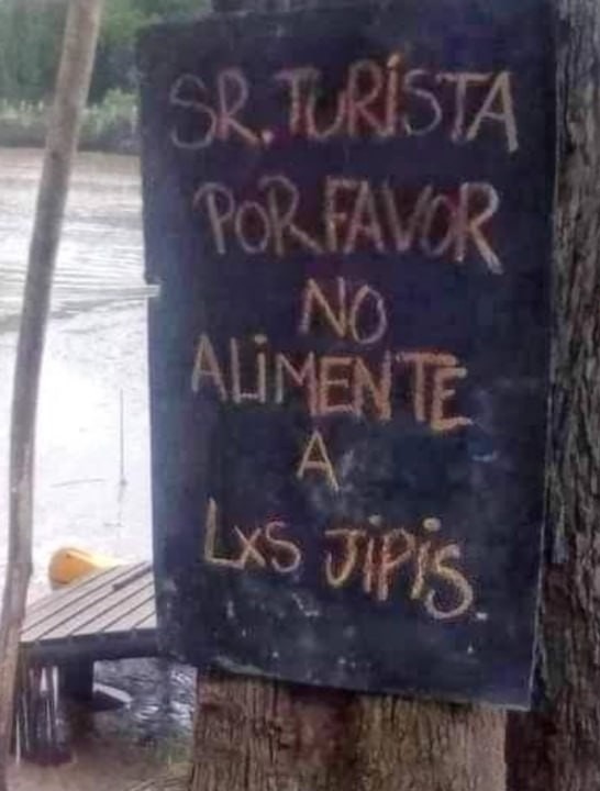 Sr turista no alimente a los jipis por favor JAJA - meme